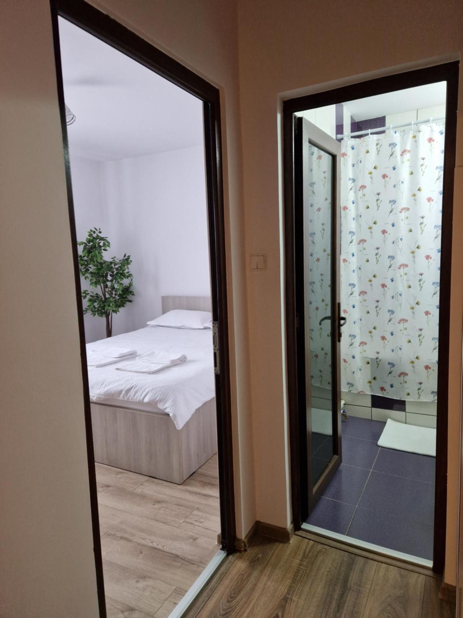 Petroşani House Of Flowers מראה חיצוני תמונה